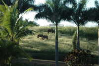  2007-12-10 09.26.33.JPG 